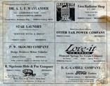 Waylander, Lien Radiator Shop, Star Laundry, Skogmo Co., Sigelman Hide, Gamble Co., Diamond Springs Ice Crean, Otter Tail County 1925